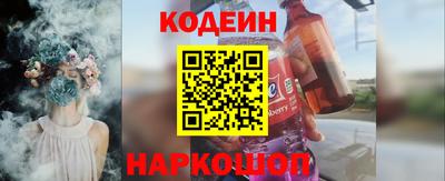 индика Пенза