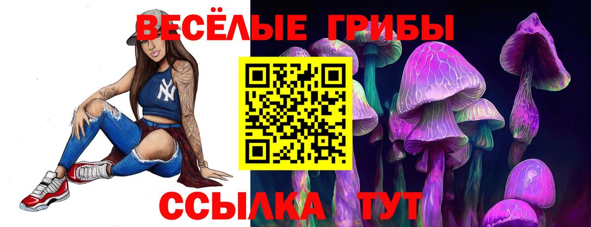 Псилоцибиновые грибы Psilocybine cubensis  Вход с VPN  Рубцовск 